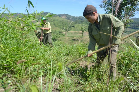 Thêm nguồn lực cho công tác quản lý, bảo vệ rừng tại Đắk Nông