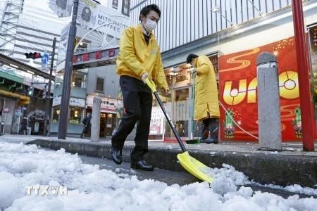 Nhật Bản: Hơn 200 người ở Tokyo phải nhập viện do băng tuyết