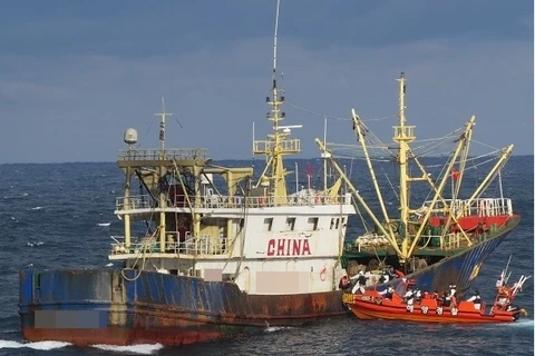 Hàn Quốc bắt giữ tàu Trung Quốc đánh bắt cá không có giấy phép