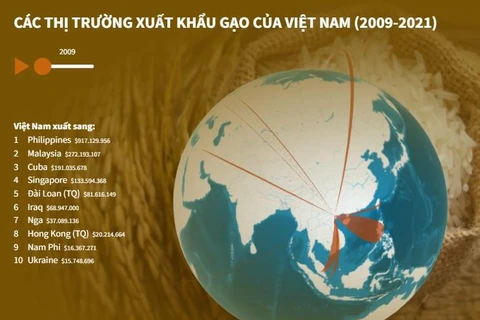 [Infographics] Các thị trường xuất khẩu gạo của Việt Nam