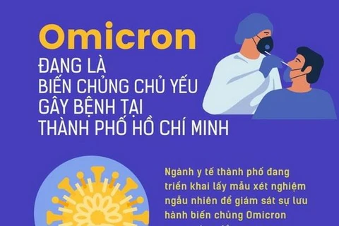 [Infographics] Omicron đang là biến chủng chủ yếu gây bệnh tại TP.HCM