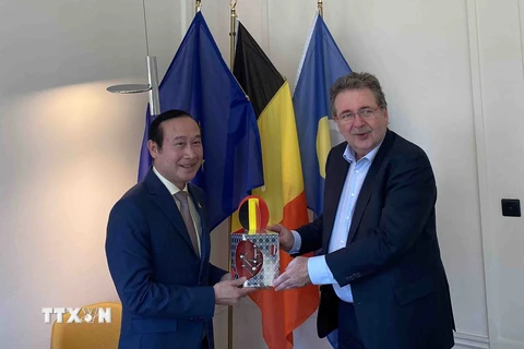 Tăng cường hợp tác giữa địa phương của Việt Nam và vùng thủ đô của Bỉ