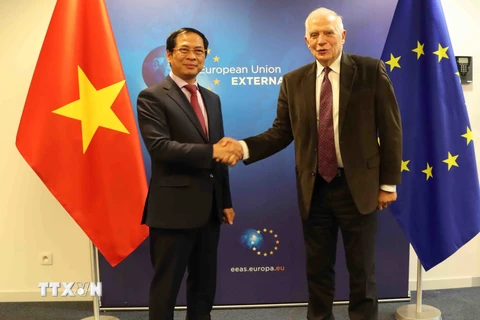 Bộ trưởng Bùi Thanh Sơn gặp Phó Chủ tịch Ủy ban châu Âu Josep Borrell