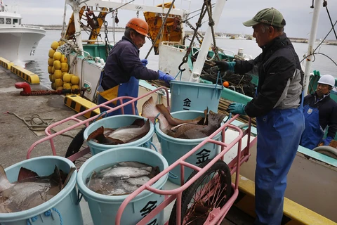 Nhật Bản và Nga đàm phán về hạn ngạch đánh bắt cá hồi năm 2022