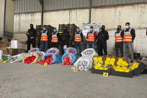 Maroc mở chiến dịch chống ma túy quy mô lớn, thu 31 tấn cần sa
