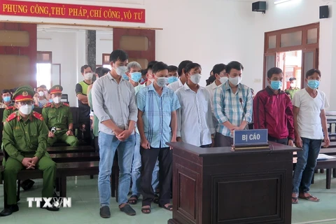 Phạt tù 34 bị cáo liên quan đến vụ phá rừng tại Phú Yên