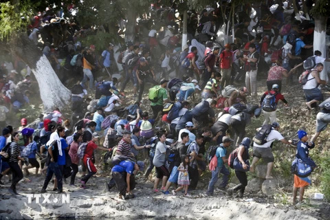 Mexico kêu gọi Mỹ tăng cường phối hợp giải quyết nạn di cư trái phép