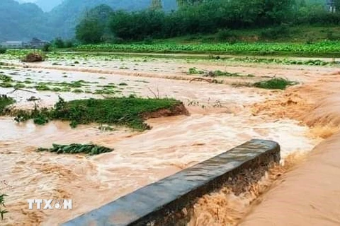 Vùng núi và trung du Bắc Bộ tiếp tục mưa to, đề phòng lũ quét, lở đất