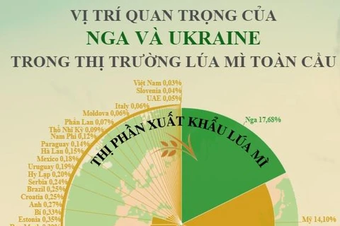 Vị trí quan trọng của Nga và Ukraine trong thị trường lúa mỳ toàn cầu
