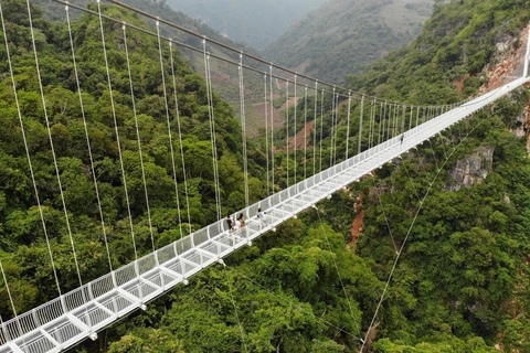Cầu Bạch Long - Đường đi bộ bằng kính dài nhất thế giới