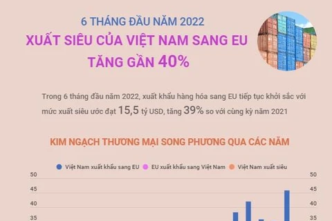 6 tháng đầu năm 2022, xuất siêu của Việt Nam sang EU tăng gần 40%