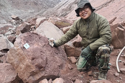 Trung Quốc phát hiện dấu chân khủng long có niên đại 150 triệu năm