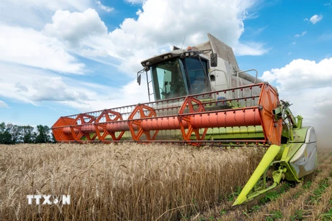 Ukraine có thể xuất khẩu tối đa 60 triệu tấn ngũ cốc trong 9 tháng tới