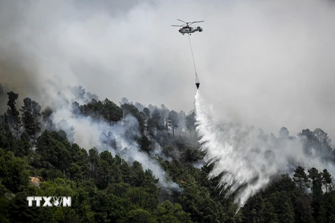 Hàng trăm lính cứu hỏa chật vật khống chế cháy rừng ở Tây Ban Nha