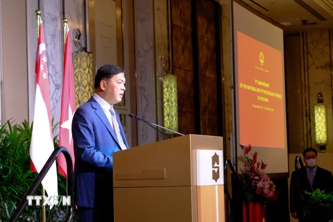 Việt Nam là đối tác và người bạn lớn của Singapore trong ASEAN