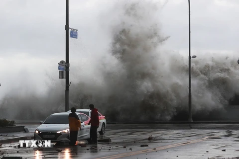 Siêu bão Hinnamnor gây thiệt hại nặng nề khi quét qua Hàn Quốc