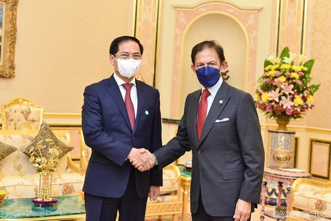 Quốc vương Brunei: Việt Nam là bạn và là đối tác quan trọng ở khu vực