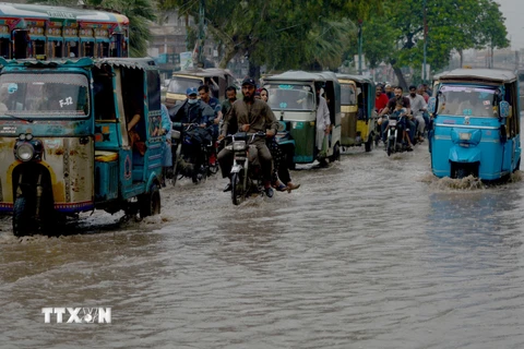WHO quan ngại về làn sóng bệnh tật sau thảm họa lũ lụt ở Pakistan