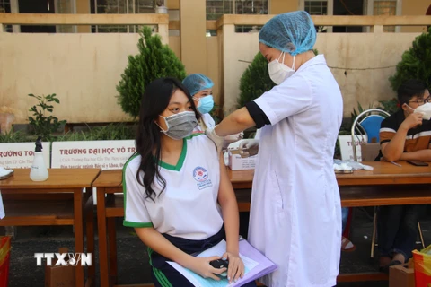 Gần 800 giáo viên, nhân viên y tế ở Cần Thơ nghỉ việc kể từ năm 2020