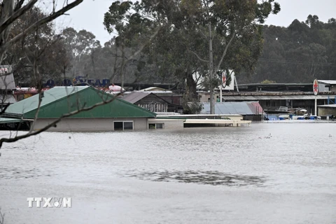 Australia: Bang New South Wales duy trì cảnh báo về nguy cơ lũ lụt