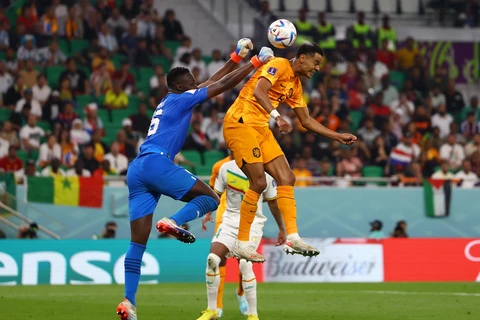 World Cup 2022: Tiền đạo Cody Gakpo - “Thần tài” của tuyển Hà Lan
