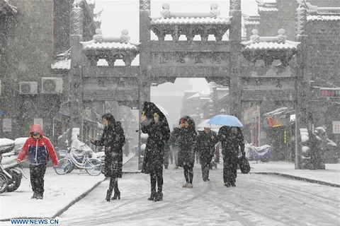 Dự báo giá lạnh bất thường tại nhiều nước Đông Bắc Á do La Nina
