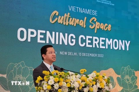Việt Nam-Ấn Độ tăng cường đường bay thẳng, thúc đẩy hợp tác du lịch
