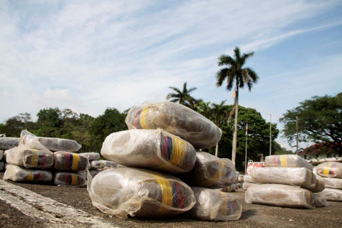 Panama thu giữ lượng ma túy kỷ lục, bắt hơn 600 đối tượng liên quan