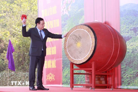 Chủ tịch Quốc hội phát động thi đua và Tết trồng cây tại Tuyên Quang