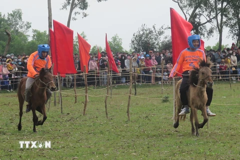 [Photo] Phú Yên: Sôi nổi Hội đua ngựa truyền thống Gò Thì Thùng