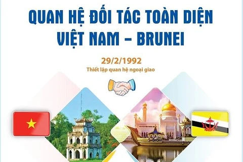 Quan hệ Đối tác toàn diện Việt Nam-Brunei ngày càng phát triển