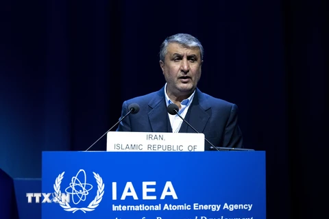 Chủ tịch AEOI: Chương trình hạt nhân của Iran không “sai lệch"