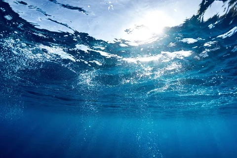 Vi khuẩn dưới nước sử dụng "ăngten" để thu năng lượng Mặt Trời
