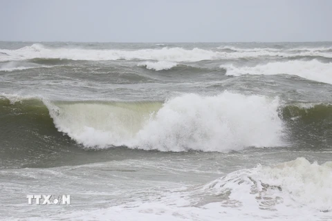 Đề phòng triều cường kết hợp sóng lớn tại khu vực ven biển Nam Bộ