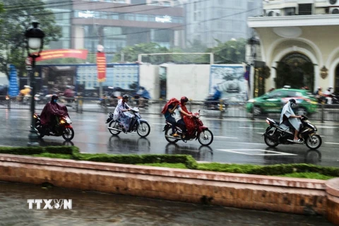 Thành phố Hồ Chí Minh đón cơn mưa “vàng” sau đợt nắng nóng gay gắt