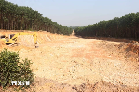 Quảng Trị yêu cầu khắc phục việc đào đất rừng trái phép quy mô lớn