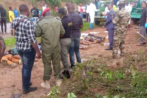 Hàng chục người thương vong trong tai nạn thảm khốc tại Cameroon