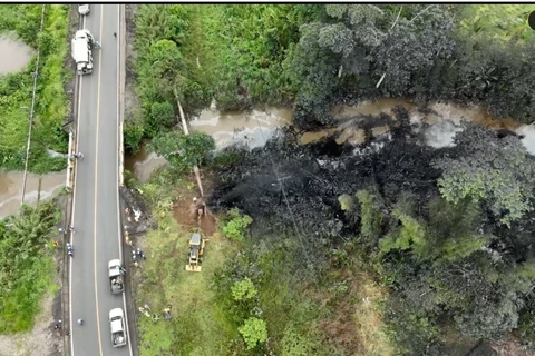 Ecuador: Đường ống bị khoan trộm gây sự cố tràn dầu ra rừng Amazon