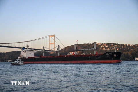 Hành lang vận chuyển ngũ cốc qua Biển Đen chưa hoạt động trở lại