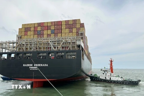 Bà Rịa-Vũng Tàu: Kịp thời cứu kéo siêu tàu container bị mắc cạn