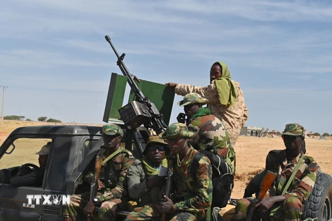 Niger và Nigeria tiêu diệt 55 phần tử khủng bố trong chiến dịch chung