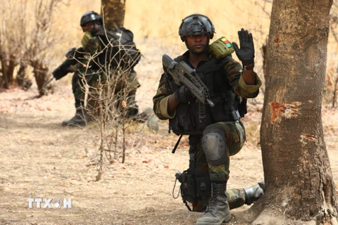 Cameroon: Đụng độ quân sự khiến ít nhất 10 người thiệt mạng