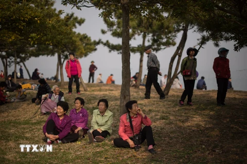 Số người cao tuổi phải sống đơn thân ở Hàn Quốc tăng kỷ lục