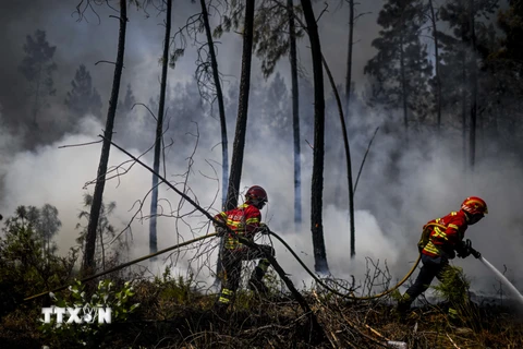 Cháy rừng cùng sạt lở đất gây nhiều thiệt hại ở các nước châu Âu