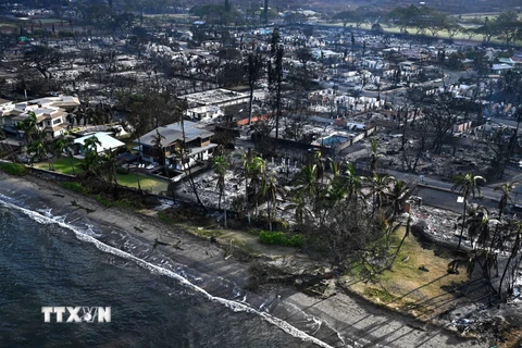 Tổng thống Mỹ tuyên bố tình trạng thảm họa tại Hawaii do cháy rừng
