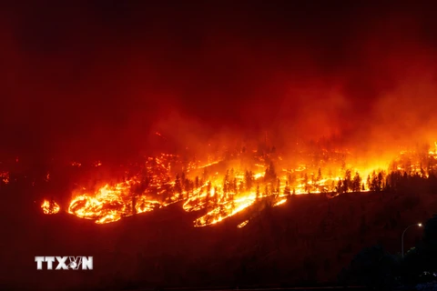 Canada: British Columbia tuyên bố tình trạng khẩn cấp vì cháy rừng