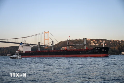 Nga, TNK và Qatar chuẩn bị thỏa thuận vận chuyển ngũ cốc qua Biển Đen