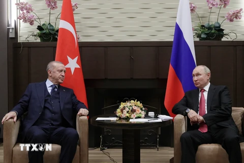 LHQ, Thổ Nhĩ Kỳ cân nhắc đàm phán với Nga về thỏa thuận ngũ cốc
