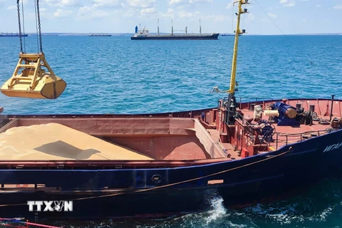 Liên hợp quốc đề xuất giải pháp khôi phục Sáng kiến Ngũ cốc Biển Đen