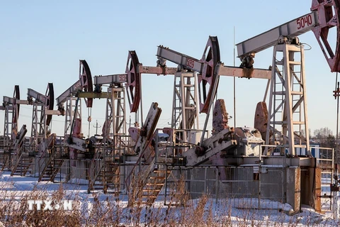 Nga gia hạn việc tự nguyện giảm lượng dầu xuất khẩu đến cuối năm